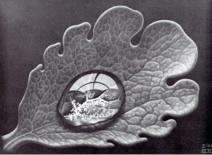 Maurits Cornelis Escher (1898-1972) Leaf