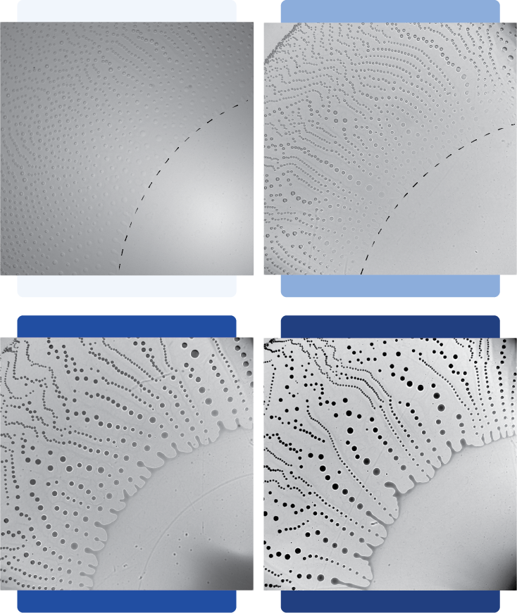 Influence of added dye on Marangoni-driven droplet instability