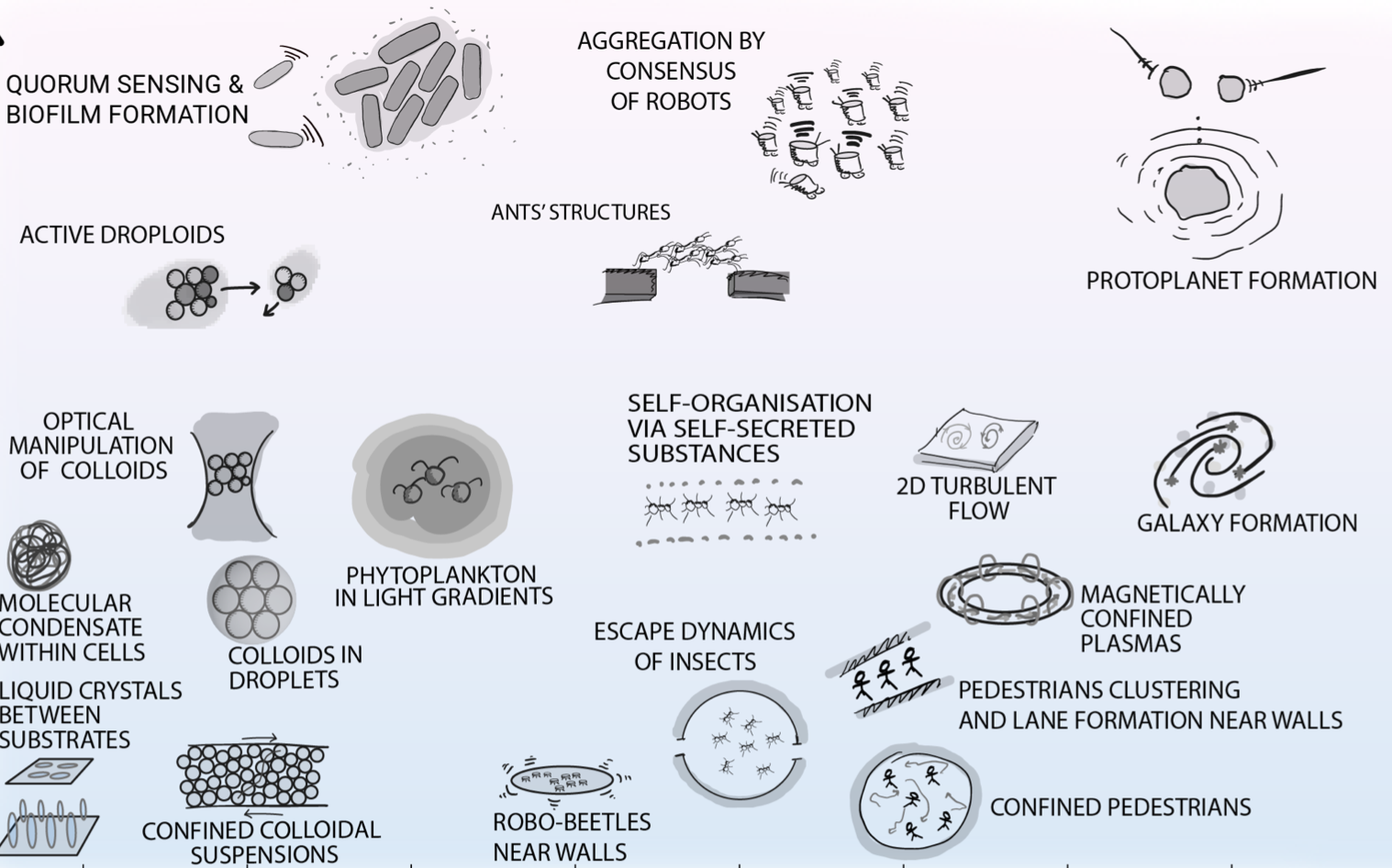 Steering self-organization through confinement