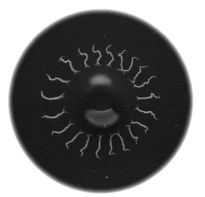 Gallery of Fluid Motion paper on the Yarning Droplet online!