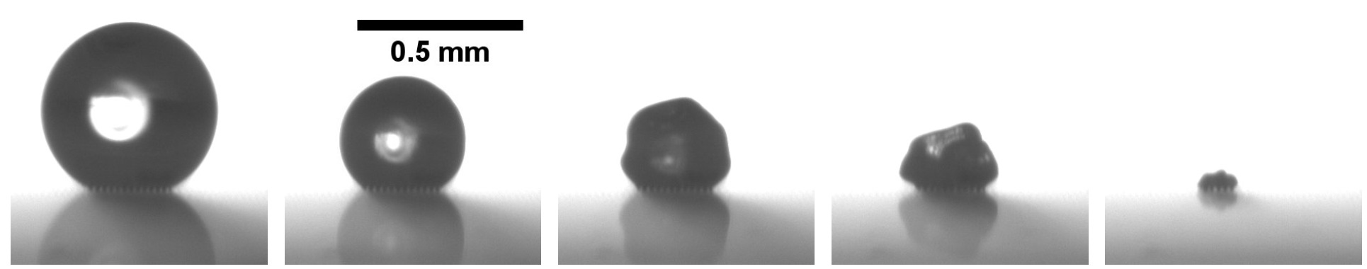 Evaporation-driven buckling of a drop laden with graphene oxide nanosheets